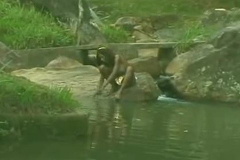 Outdoor ladyman fuck