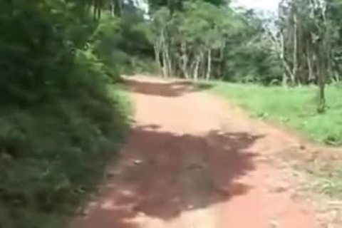 Outdoor tranny Sex Till Outer cumshot