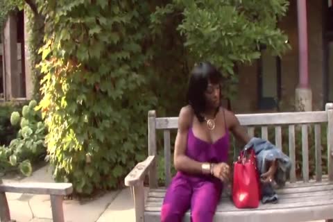 busty ebon ladyboy stroking