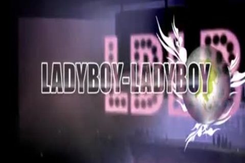 BeeJUD1 1 Hdmp4 - tranny