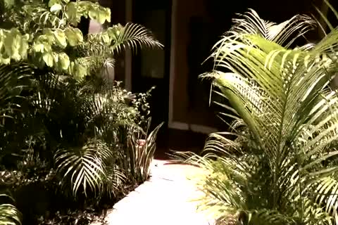 lusty Bride Has A humongous Secret (HD)