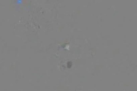 Sex Machine End Nikkijadetaylor sperm