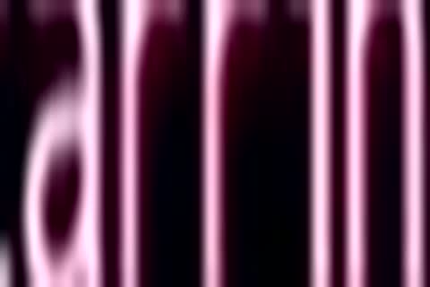 BB Trans