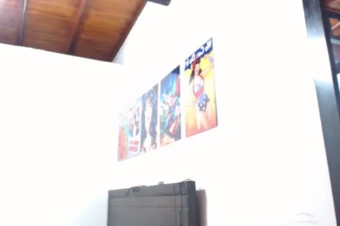 JHGE web camera Show
