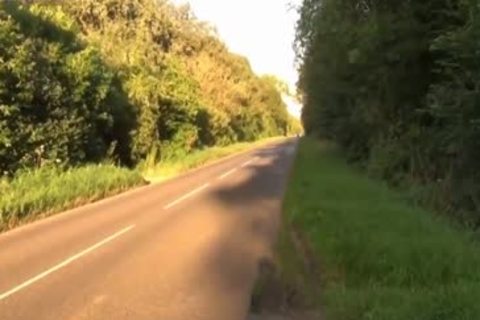 Joanna Dans Les Bois