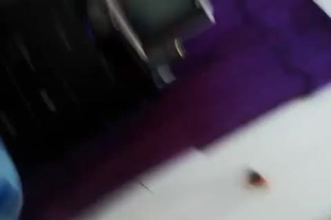 Arabian ladyboy Playing On webcam
