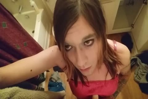wild ladyman Trap Homealone