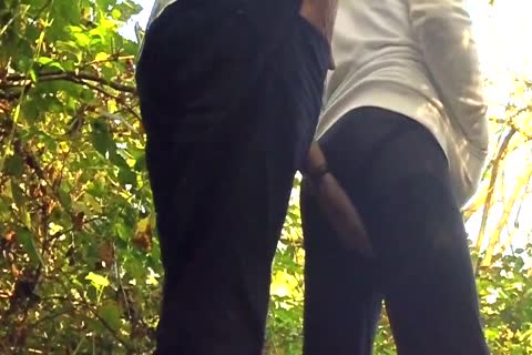 wild Sex In The Woods