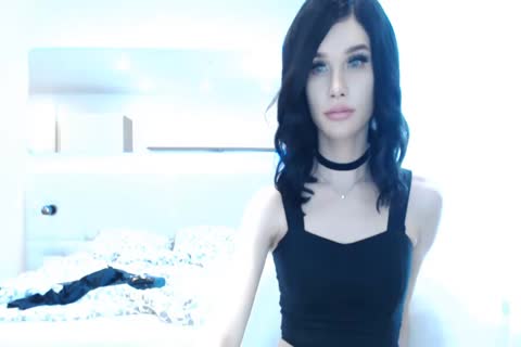 nice-looking shemale