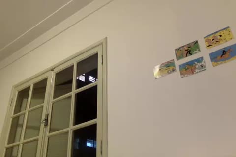 dilettante ladyboy Ts Enjoys Herlself In A Solo Masturbation