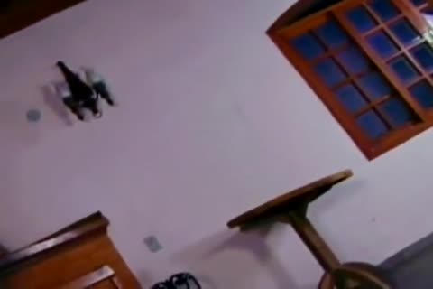 Brazilian blond shemale fucking Her Boyfriend