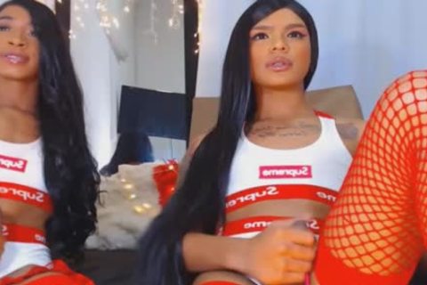 Twin ladyboy Giving Each Other A attractive cook jerking