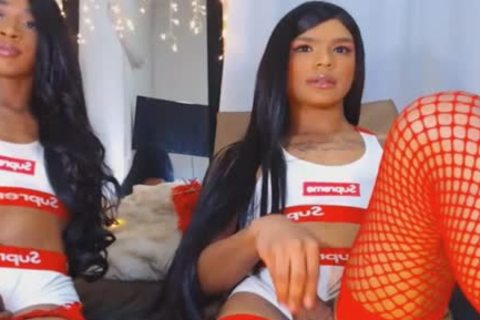 Twin ladyboy Giving Each Other A attractive cook jerking
