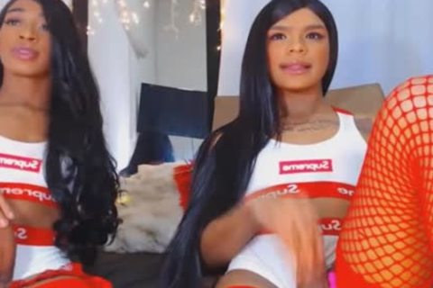 Twin lady-man Giving Each Other A sleazy handjob