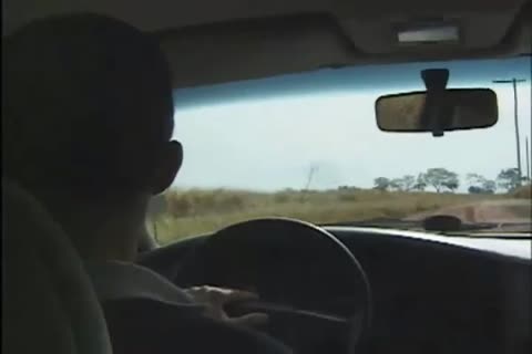 Karen bonks In The Trunk