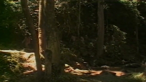 Paula Plays dirty With shemale And boy Outdoor