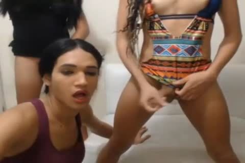 wicked trannies butt plow And tasty Blowjobs