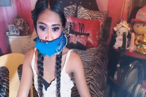 Two ladyboy Jerking Their monstrous penis On cam
