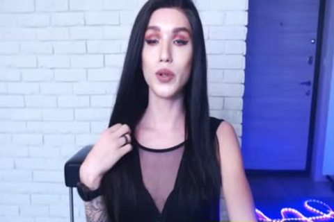 attractive dark cutie Face ladyboy On cam