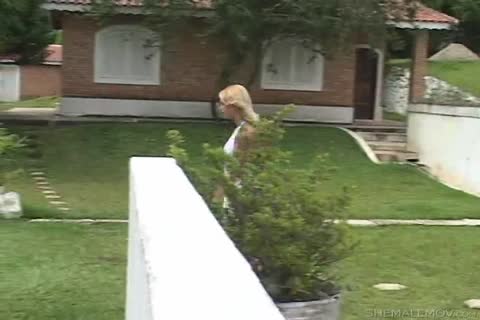 tranny doxies - Scene 4