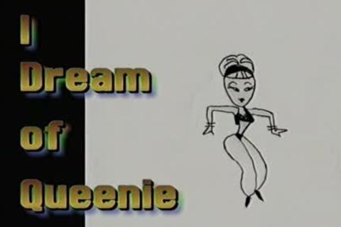 shelady Genie