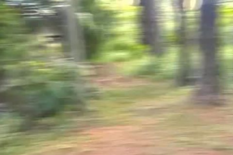 Teenage ladymans #12 - Scene 2
