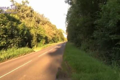 juicy sheboy boned In The Woods