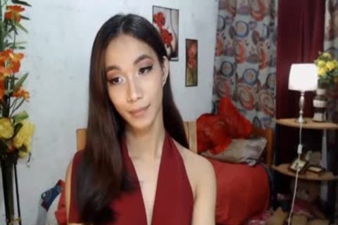 asian Ladyboy Jerking Her cock On cam