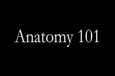 two lusty College Transgirls engulf And fuck To Study For Their Anatomy Test