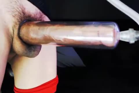 long Mint - webcam 03.01.2019