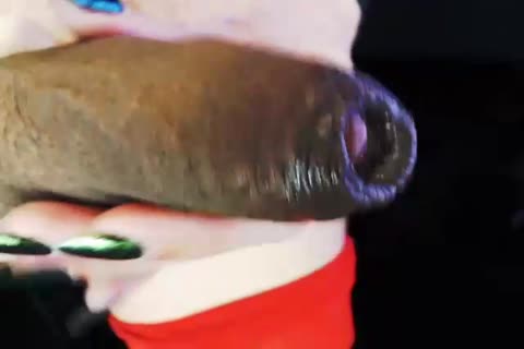 long Mint - webcam 03.01.2019