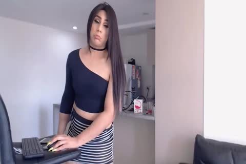 fat Trans