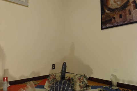 I Was Bored 1