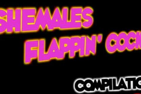 ladymans Flappin penises Compilation 2
