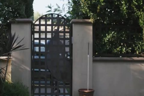 Tranny kissing each other