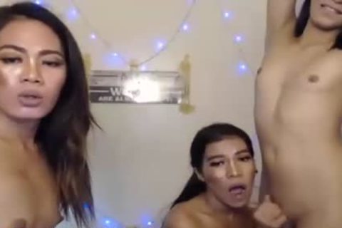 pretty trio pound