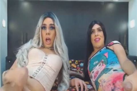 couple tgirl skanks boned And Sucked Hard knob