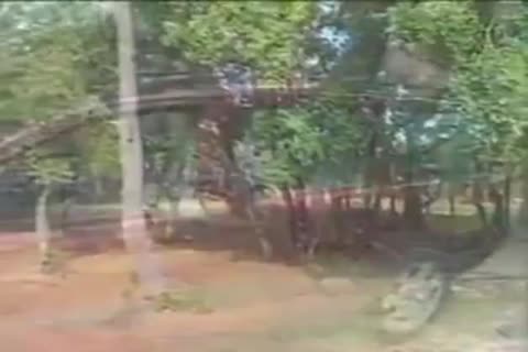 nasty Ladyboys Sucks And Sexs outdoors