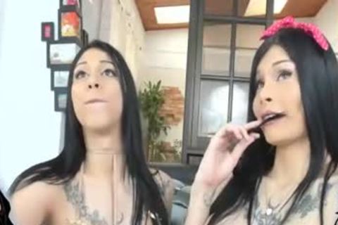 large wobblers busty blonde ladyboy Solo