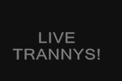 Sara Salazar And Sophia The Vampire tranny slutty web camera