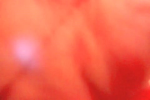 busty blond tranny Sarina Valentina oral enjoyment-stimulation And butthole pounding