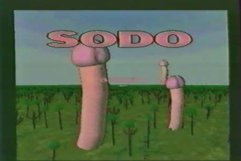 Sodo Bissex Trav N 11 Laetitia