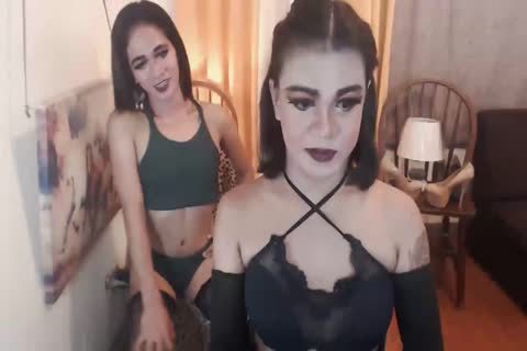 Two ladyboy sweetie Having filthy And Intense Shows