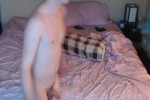 young ladyboy bonks Boyfriend