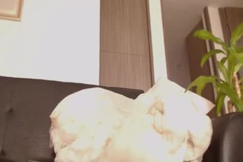 Beautifulhardcock webcam tranny