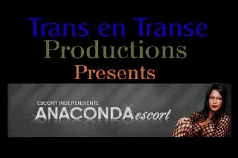 TS With biggest penis And palatable mambos Needs Your Attention