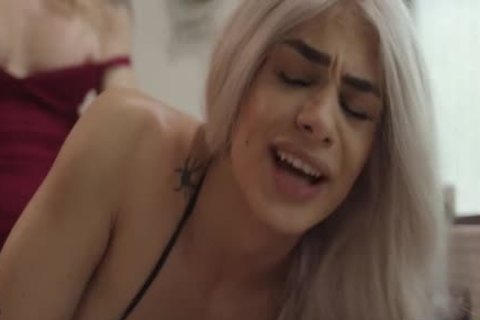 Ts Stepsisters Casey Kisses And Eva Maxim Trade blowjob