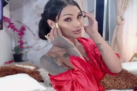 Beautymelanyxxx cam tranny