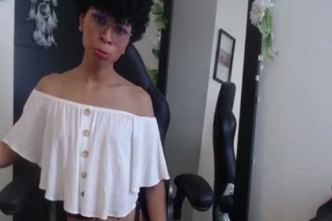 Gabrisaenz tranny cam