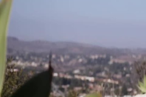 Ts Ryder Enjoys engulfing males humongous penis